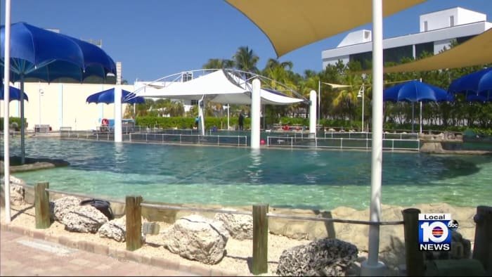Miami Aquarium offers 10 local tours to showcase ‘investments’ as eviction deadline approaches