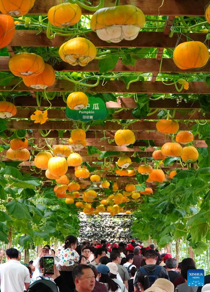 The 25th China (Shouguang) International Vegetable Science and Technology Expo opens in Xinhua, Shandong Province