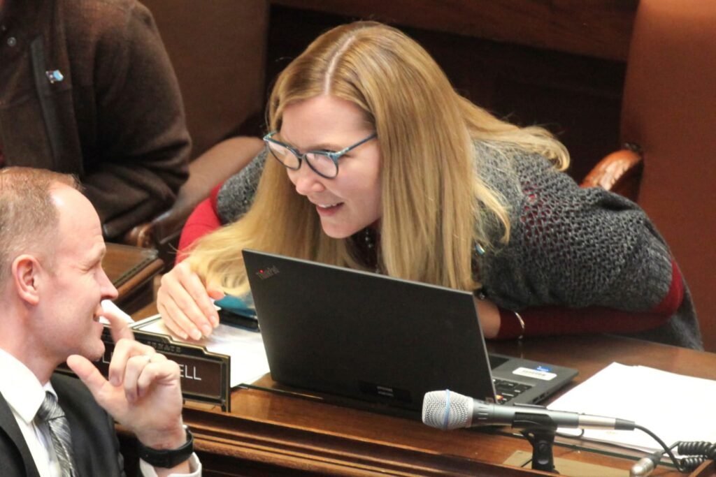 Minnesota senator arrested on robbery charge