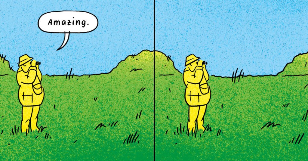 Opinion | The beautiful world of bird watching