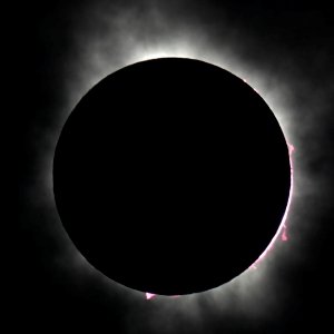 Concord Monitor – Opinion: Solar eclipse reveals allegory about current political life in Congress