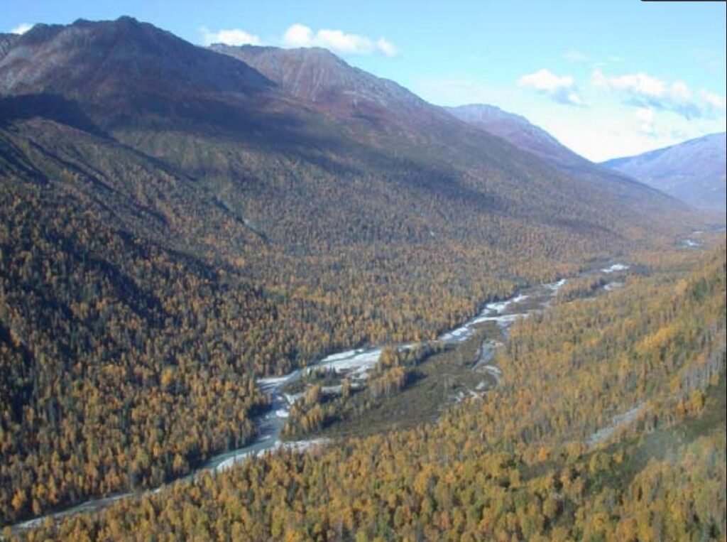 More problems at Alaska state-owned investment bank, conservation group concludes • Alaska Beacon