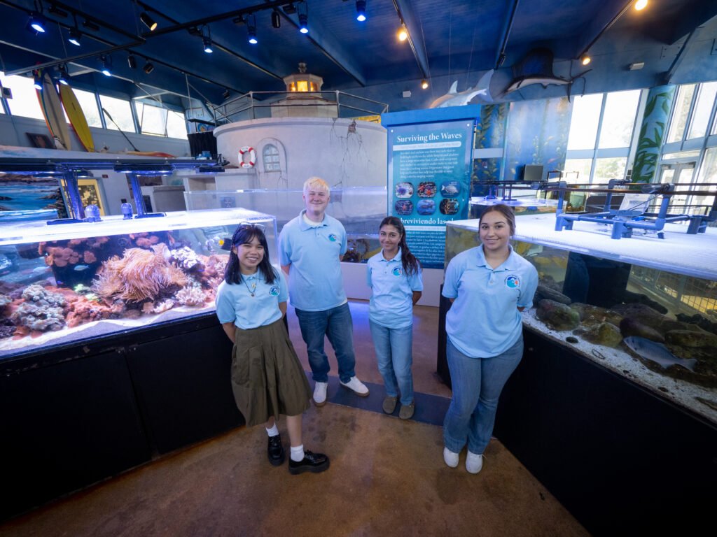 Deadline for Chumash Foundation School Technology Program grant applications is April 30th