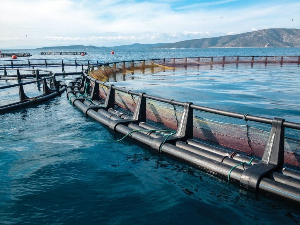 Aquaculture Technology and Biosecurity – Fish Farmer Magazine