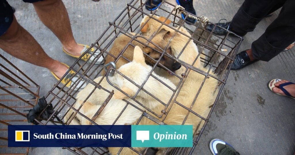 Opinion | It’s time for China’s animal abusers to get justice