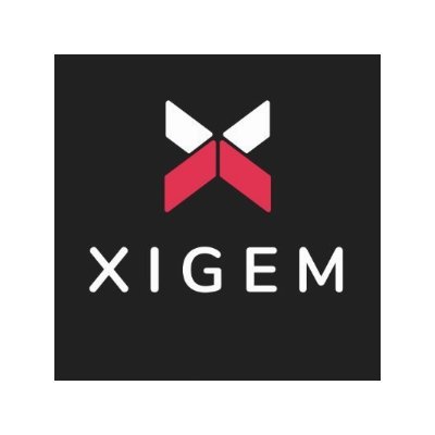 Xigem Technologies boosts growth in used car market: Technology is the driving force