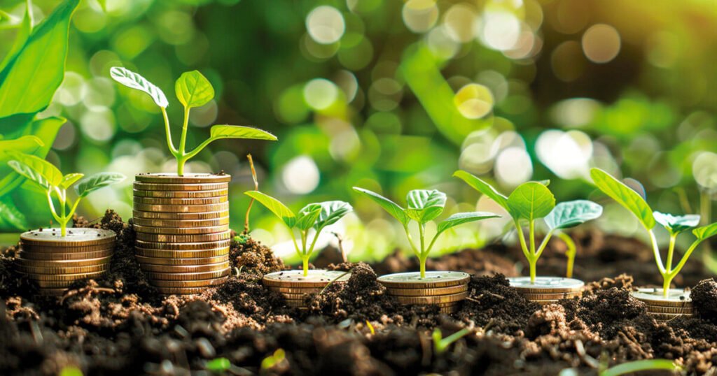 Surviving the Web3 startup environment with limited funds