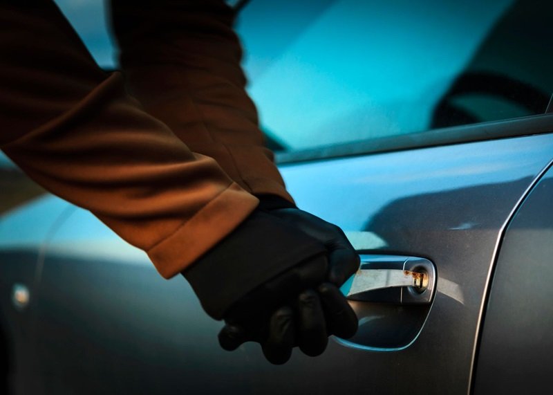 Auto Theft Insurance Claim Severity Trends