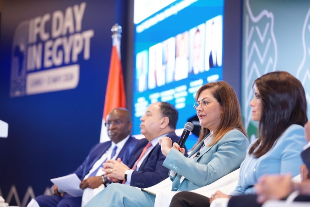 Private sector investment reaches 40% of total: Egyptian Planning Minister