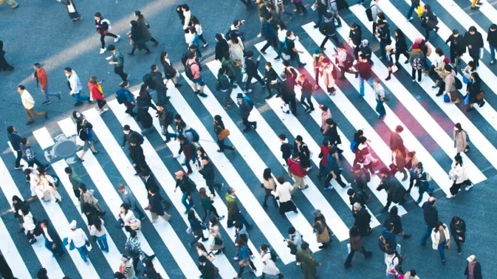 Asia Pacific markets rise as investors assess Japanese economic data; yen hits 38-year low – NBC 6 South Florida