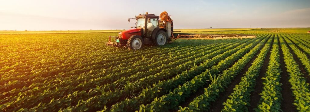 Wilmar International (SGX:F34) investors are sitting on a 24% loss if they put their money in three years ago.