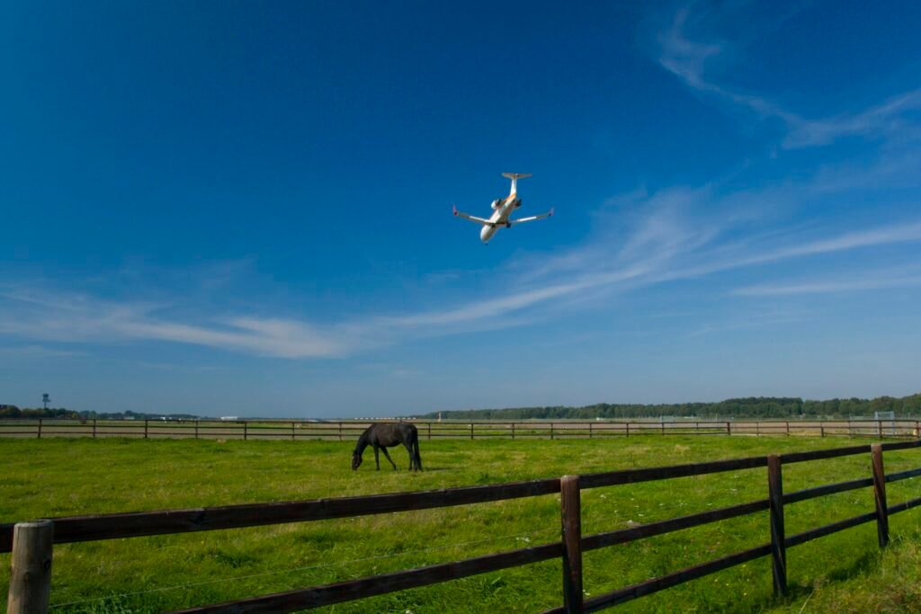 Southwest Airlines Boeing 737 mysteriously plummets, flies below 500 feet over nearby area Trending News