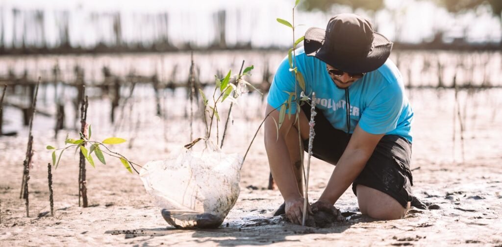 Five ways to improve the global voluntary carbon credit market