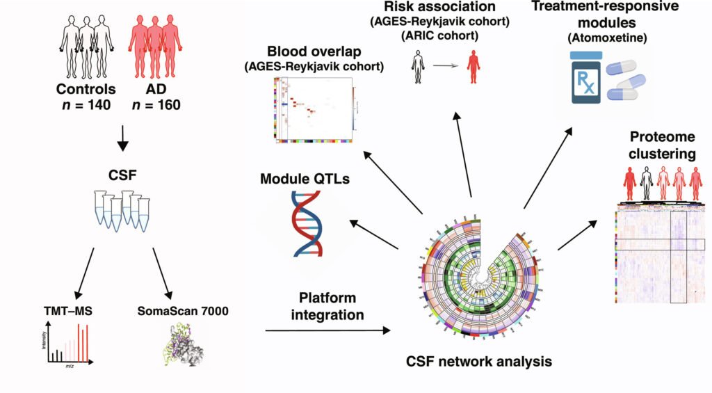 Protein map created using cerebrospinal fluid scanning technology to find markers of Alzheimer’s disease