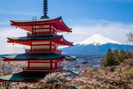 Investment and shareholder returns may limit pace of capital growth for Japanese insurers: S&P
